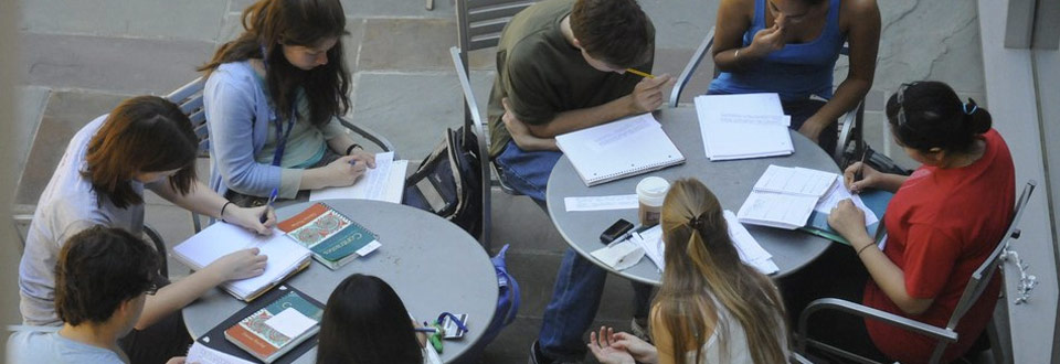 A group of students studying outside