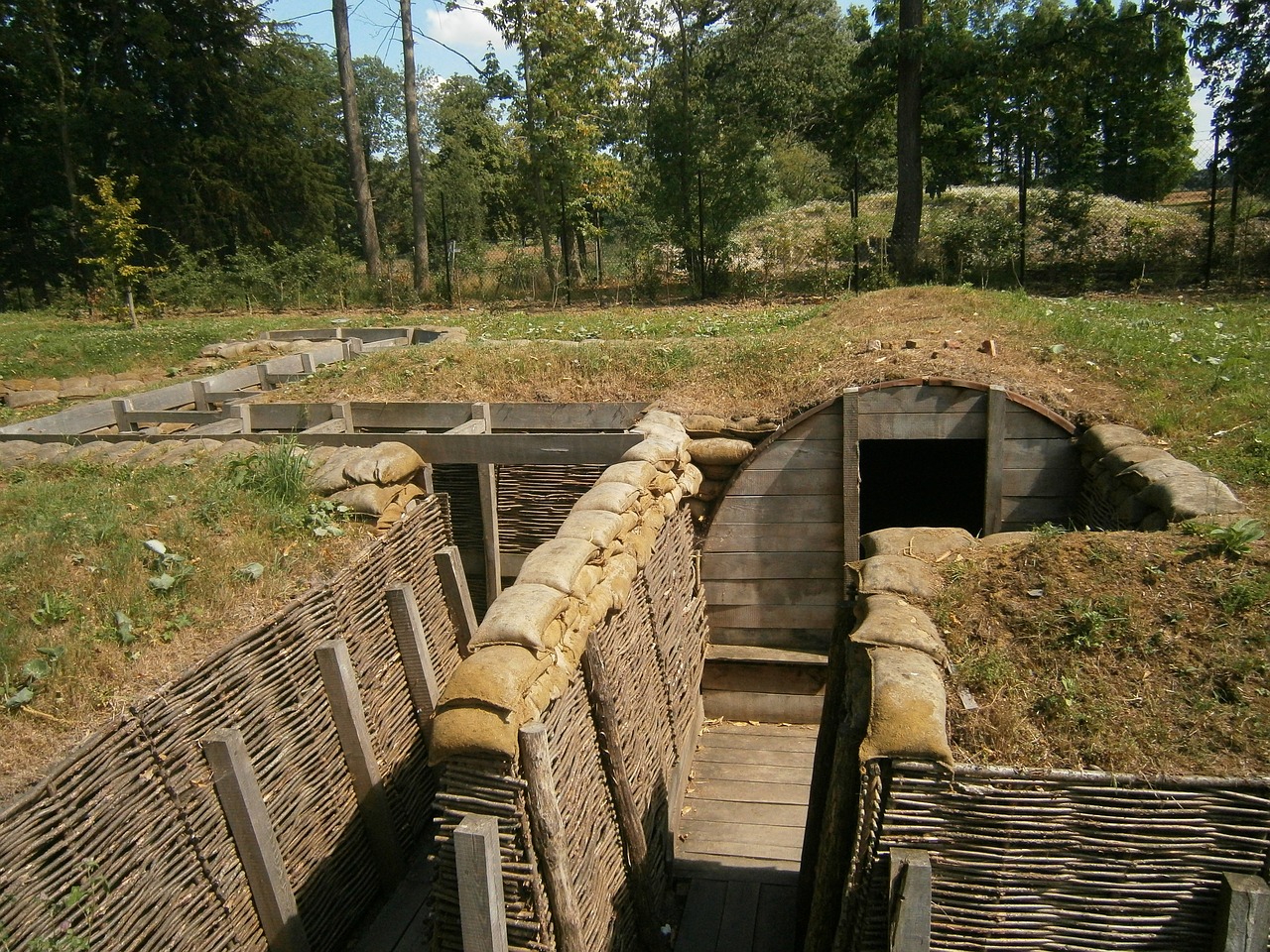 Trench dug in a grassy area near some trees.