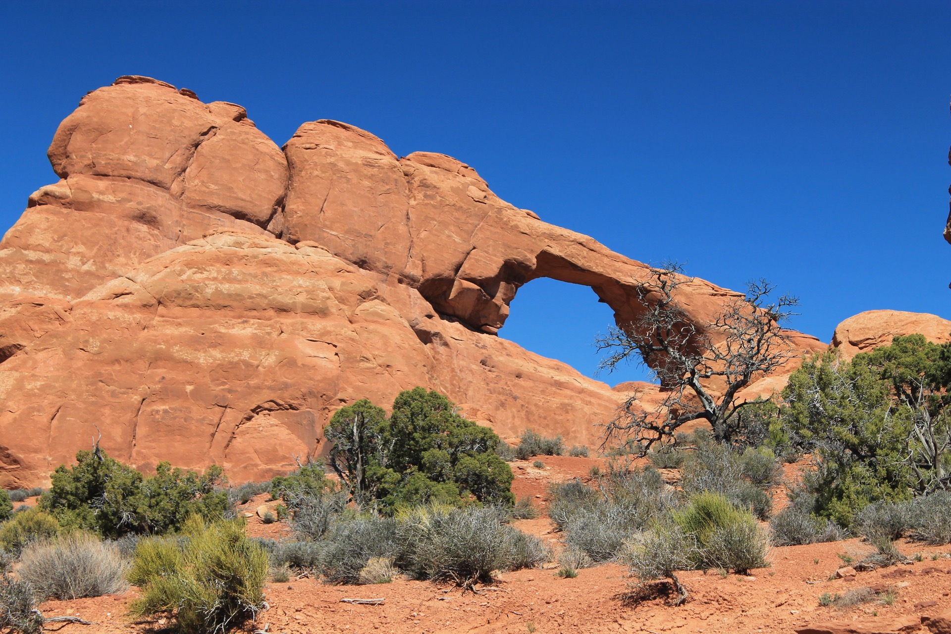 photo of Utah wilderness