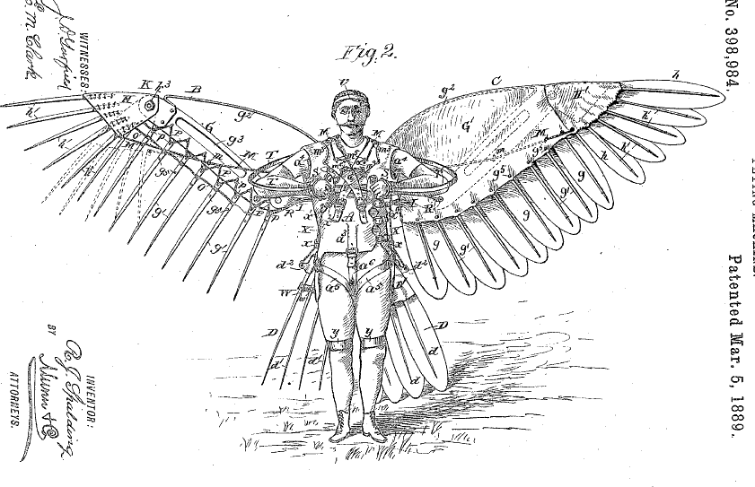 technical diagram of wings