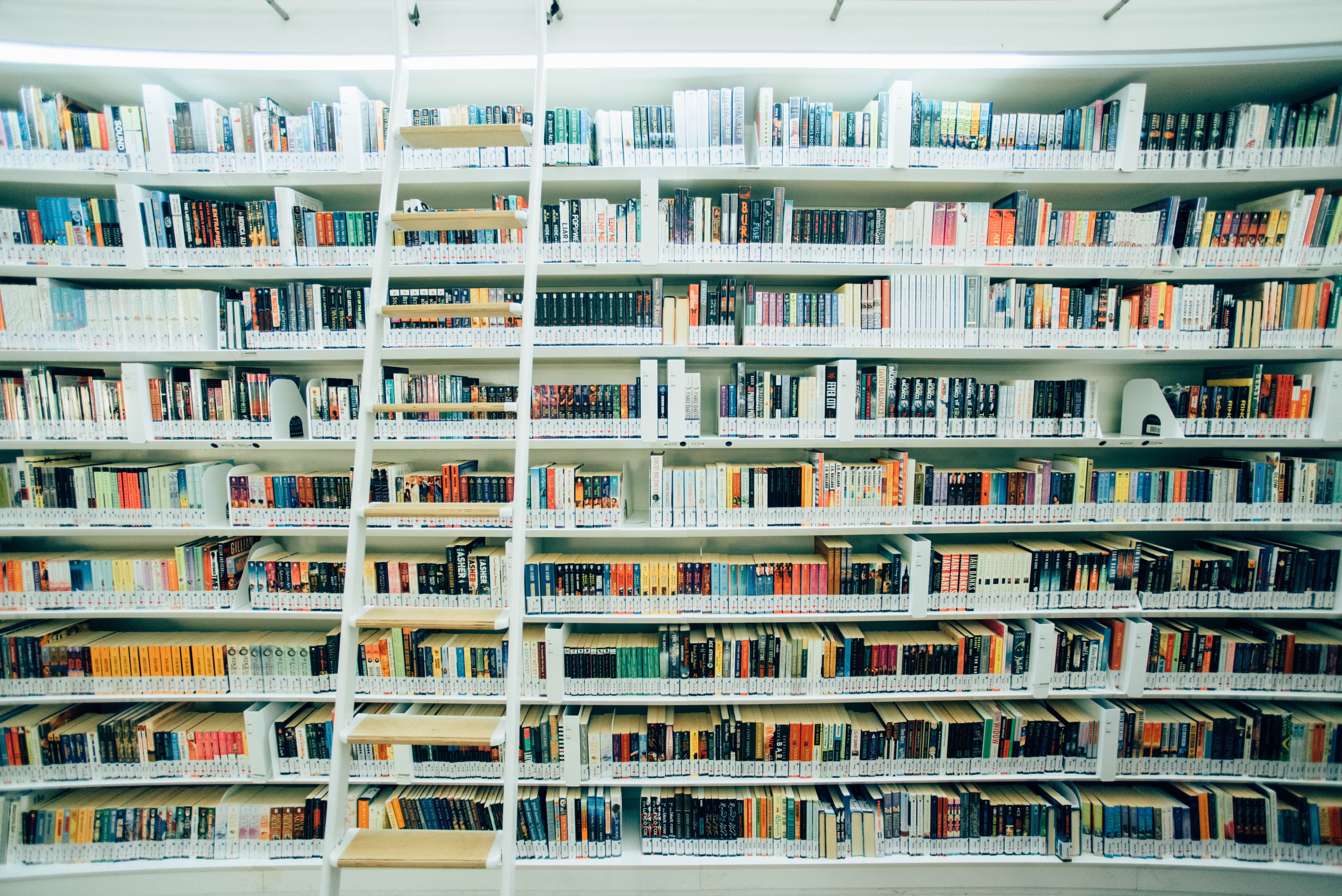 wall of bookshelves