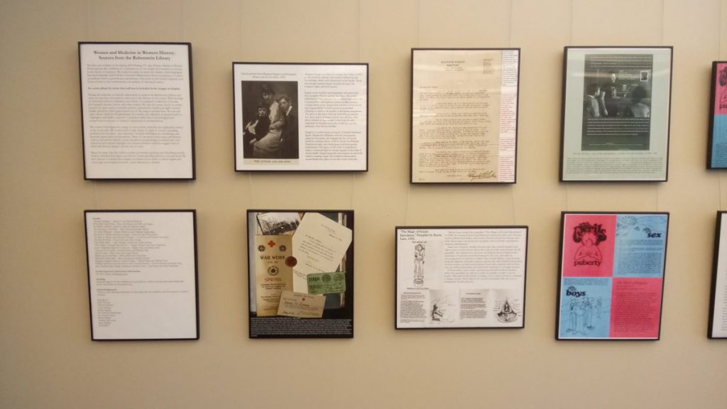 Example of student exhibit