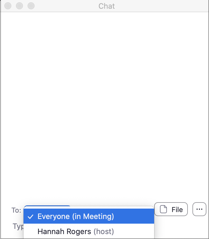 Screenshot of Zoom chat box, showing messaging options