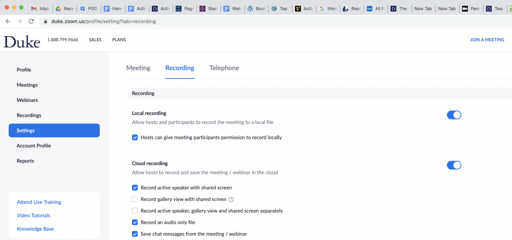 Screenshot of Zoom Recording settings, demonstrating how to save chat messages