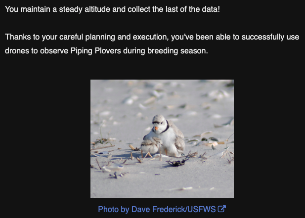 A screenshot of text from a Twine game that says, "You maintain a stead altitude and collect the last of the data! Thanks to your careful planning and execution, you've been able to successfully use drones to observe Piping Plovers during breeding season." With an image below of a mother Piping Plover and its chick, and a photo credit to Dave Frederick of USFWS.