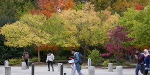 A wall of Fall color greets students and visitors at the Bryan Center.